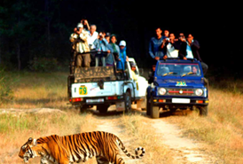 Tourism 3